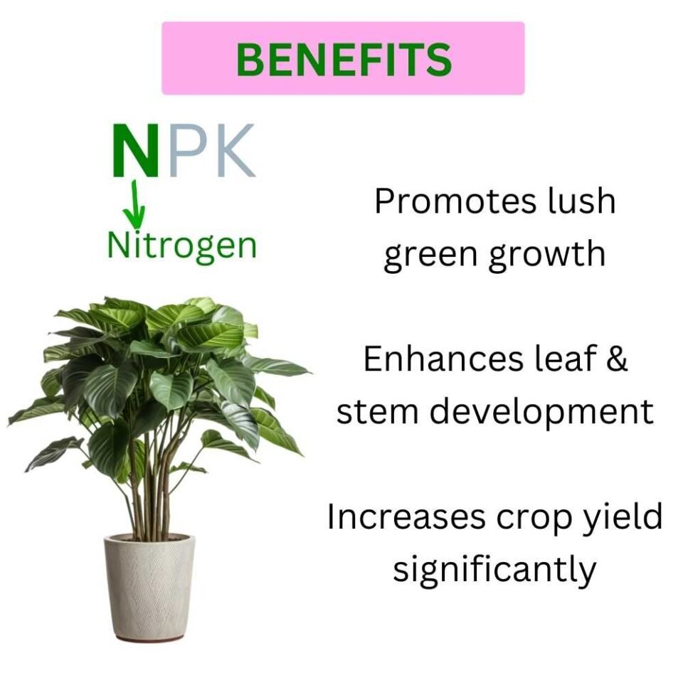 npk 19 19 19 fertilizer for plants (N)