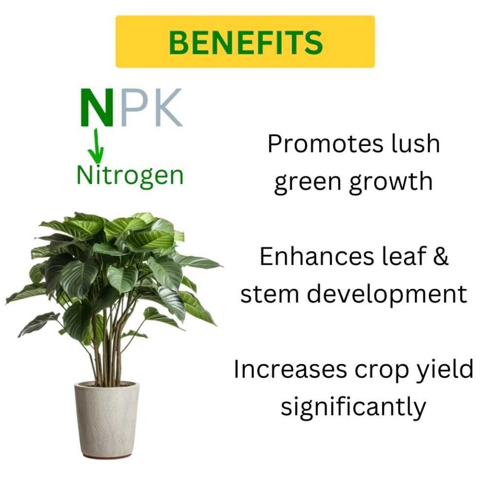 npk 20 20 20 fertilizer for plants (N)