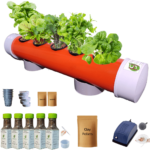 Hydroponic Kit for Home