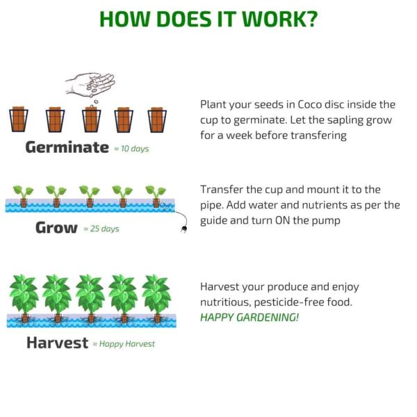 How Hydroponic works