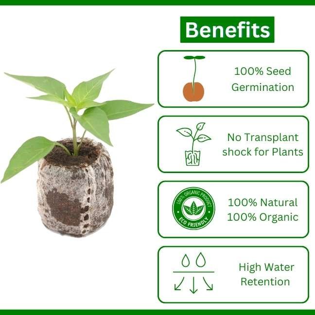 benefits of coco disc