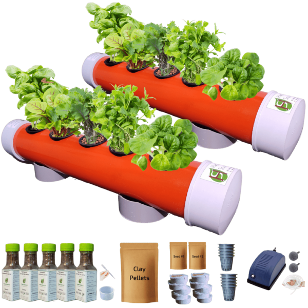 Hydroponic Kit for Home_10 Plants