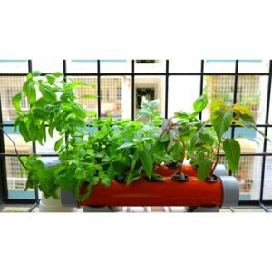 hydroponic setup in balcony