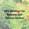 NPK fertilizer for balcony and terrace garden